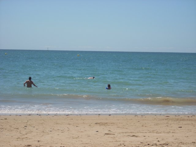 dscn2431.jpg