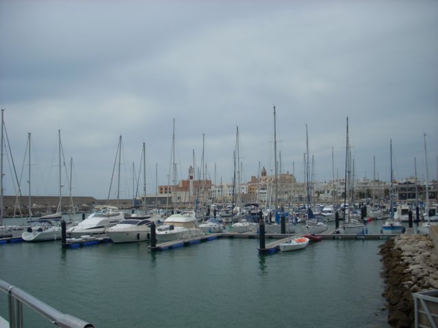 dscn2537.jpg