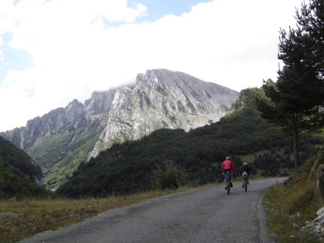 aleaseguirhacianavarra.jpg