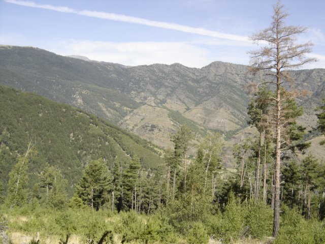 losmontes.jpg