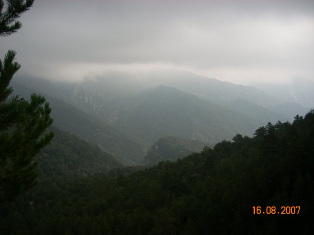 llover.jpg