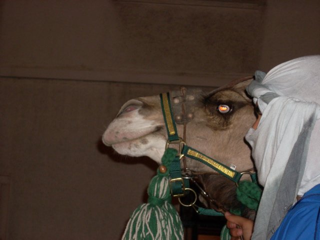 dscn2177.jpg