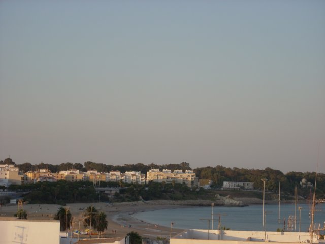dscn2412.jpg