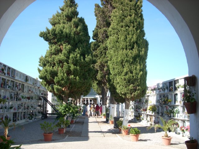 dscn2442.jpg