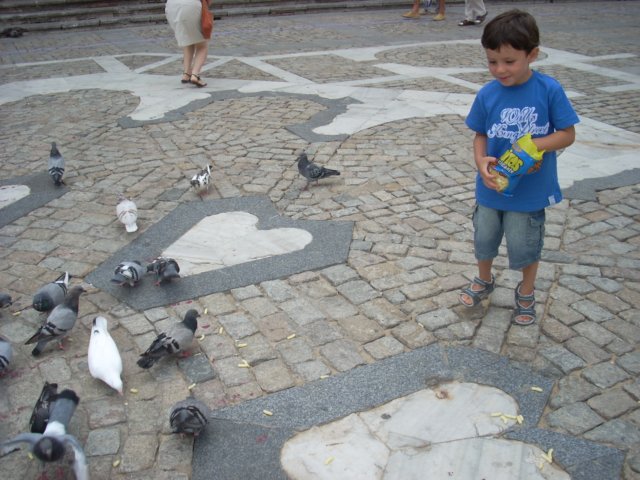 dscn2533.jpg
