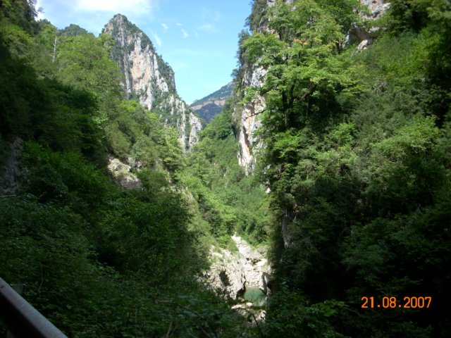 sepresientelasalida.jpg