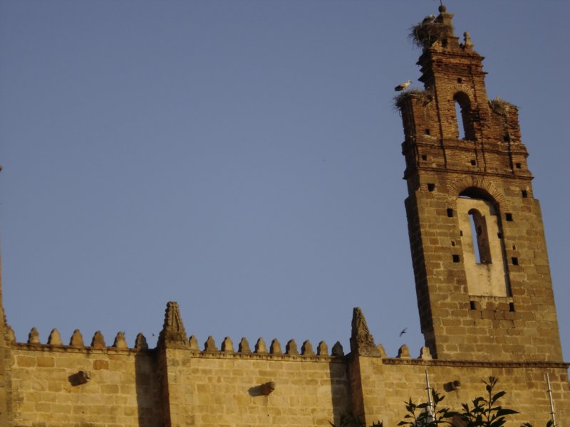 plasncia2.jpg