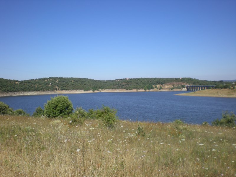 photo9.jpg