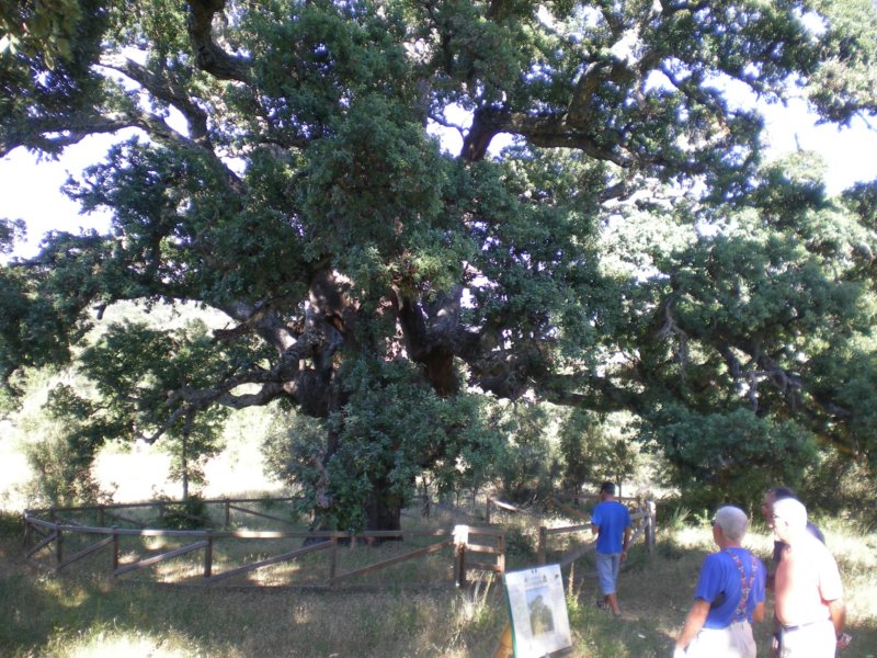 photo22.jpg