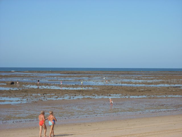 dscn2423.jpg